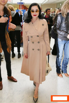 Dita Von Teese pic #608210